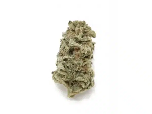 THCR kvet Silver Haze 20% | 1G